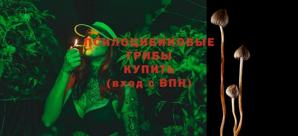 дживик Армянск