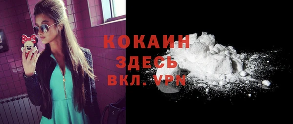 Альфа ПВП Аркадак