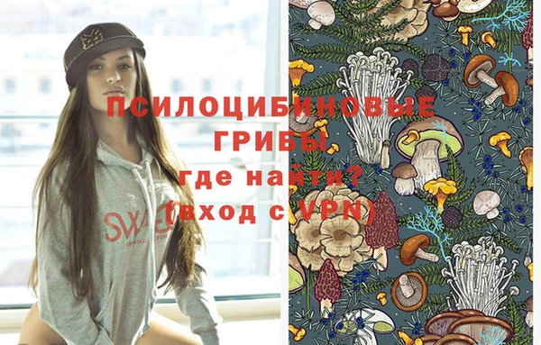 синтетический гашиш Арсеньев
