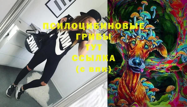 синтетический гашиш Арсеньев