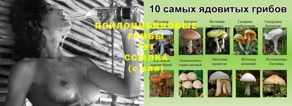 дживик Армянск