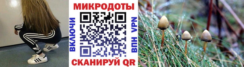 Галлюциногенные грибы Magic Shrooms  хочу наркоту  Лодейное Поле 
